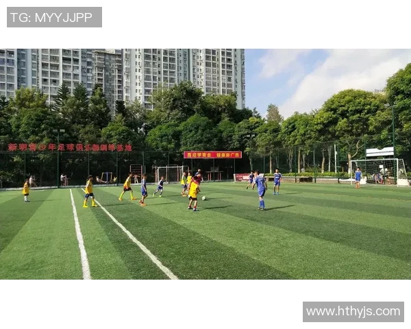 追逐绿茵梦想少年从平凡到超级足球巨星的热血成长旅程